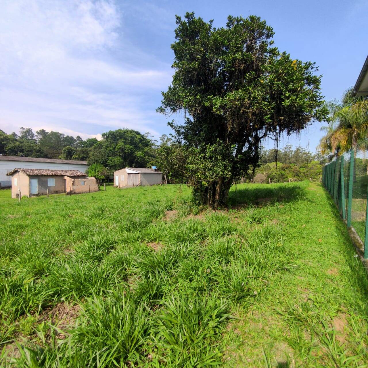 Terreno - Bairro Laranjinha - 1.180m² - Entrada + Parcelamento Direto