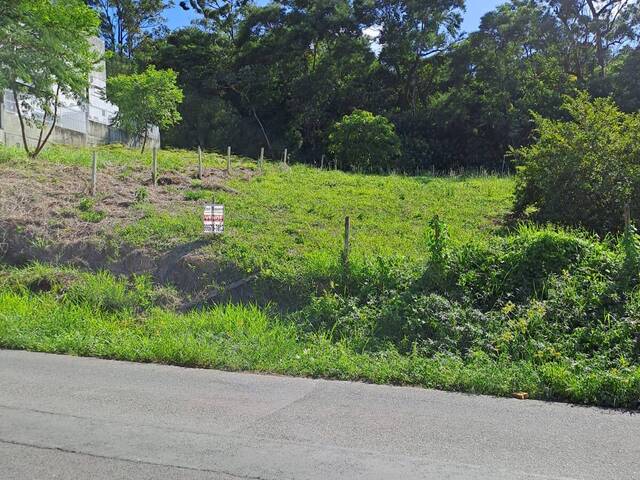 #275 - Terreno para Venda em Criciúma - SC - 3