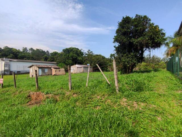 Terreno para Venda em Criciúma - 5