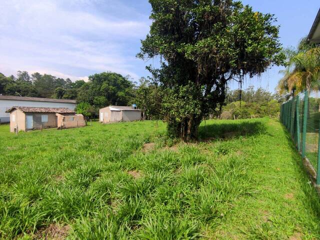Venda em Laranjinha - Criciúma