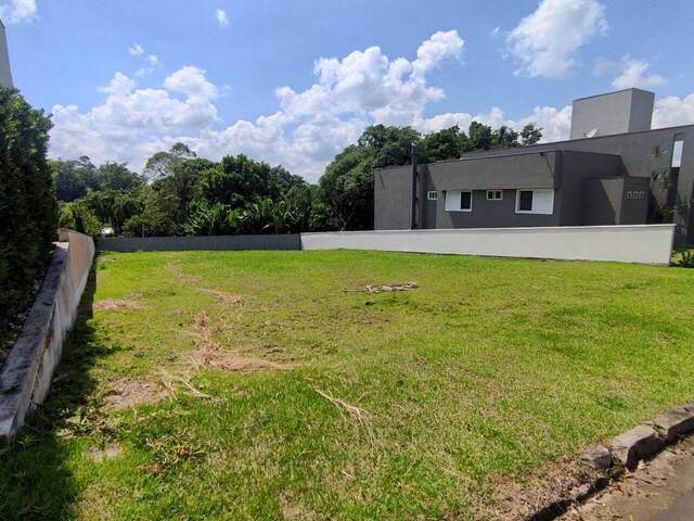#307 - Terreno para Venda em Criciúma - SC - 2