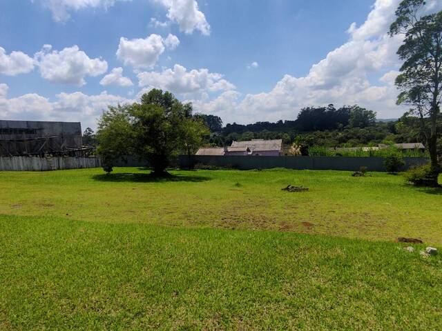 #309 - Terreno para Venda em Criciúma - SC - 2