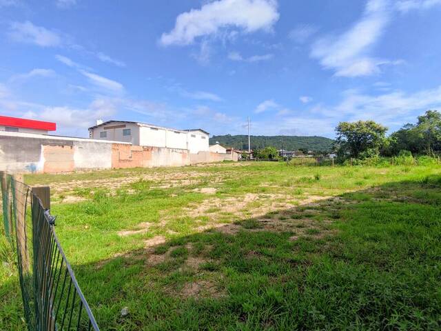 #337 - Terreno para Venda em Criciúma - SC - 3
