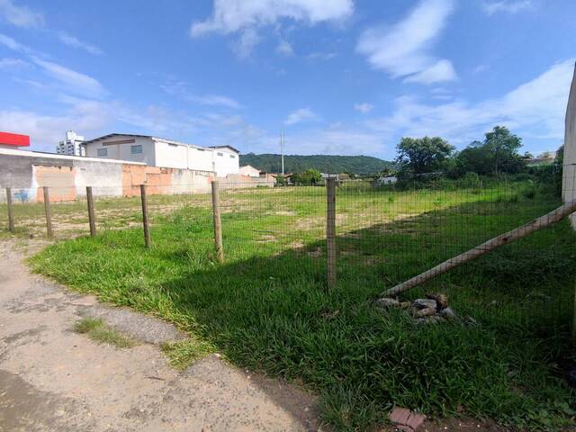 Terreno para Venda em Criciúma - 4