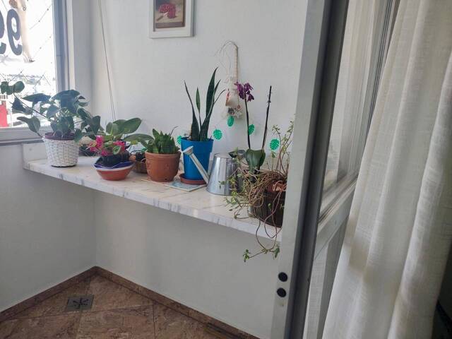 Apartamento para Venda em Criciúma - 5