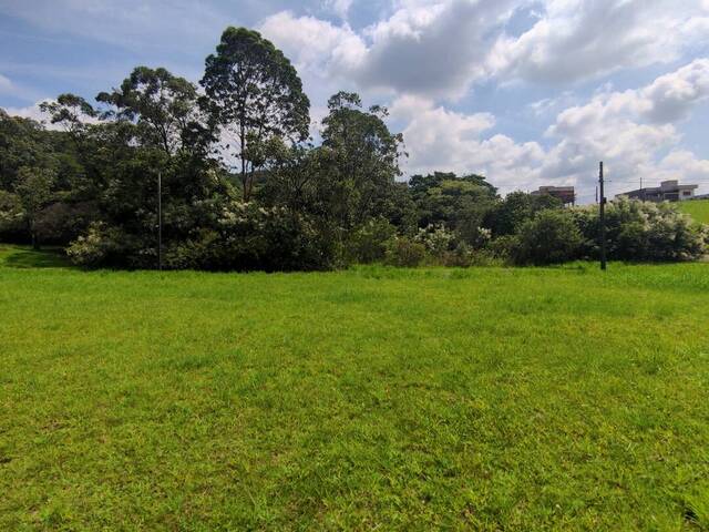 Terreno para Venda em Criciúma - 5
