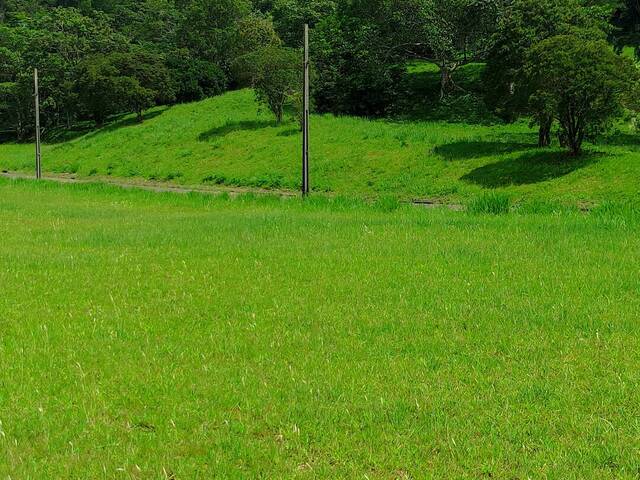 #345 - Terreno para Venda em Criciúma - SC - 3