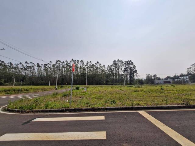 #352 - Terreno para Venda em Criciúma - SC - 1