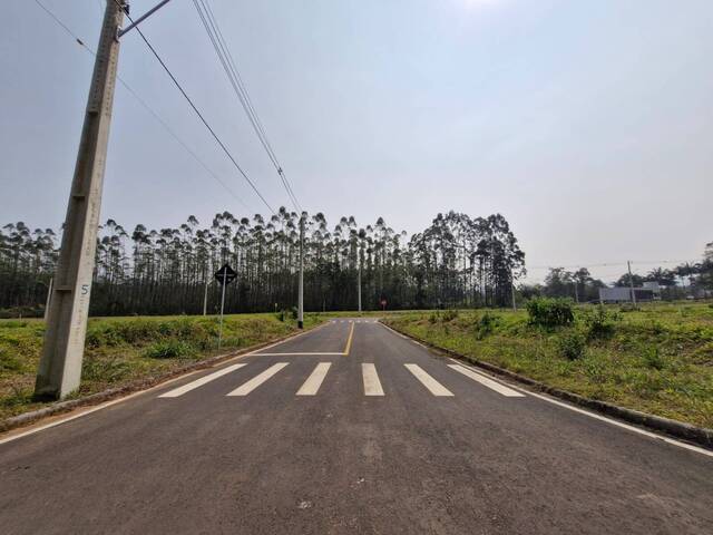 #352 - Terreno para Venda em Criciúma - SC - 3