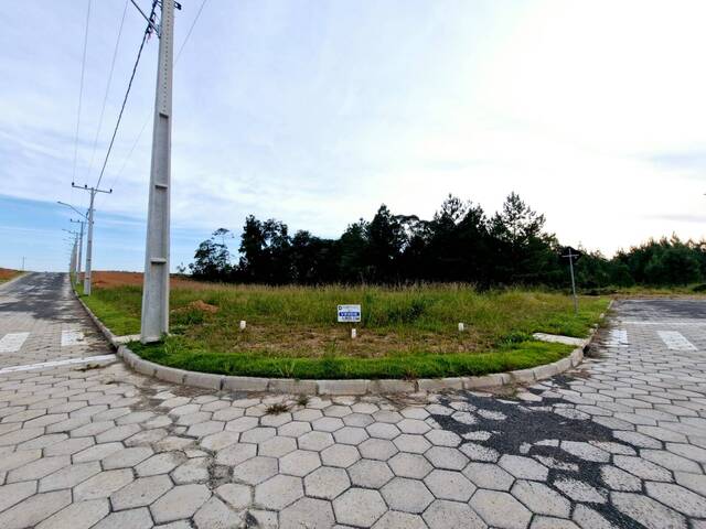 #378 - Terreno para Venda em Criciúma - SC - 3
