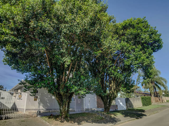 Casa para Venda em Criciúma - 4