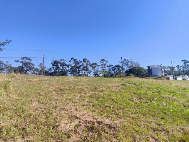 Área para Venda em Criciúma - 3