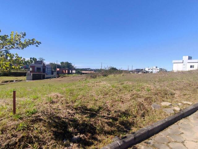 Área para Venda em Criciúma - 4