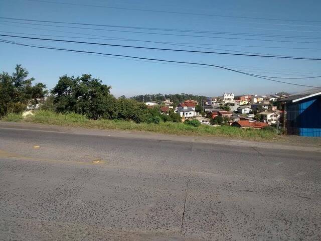 #539 - Área para Venda em Criciúma - SC