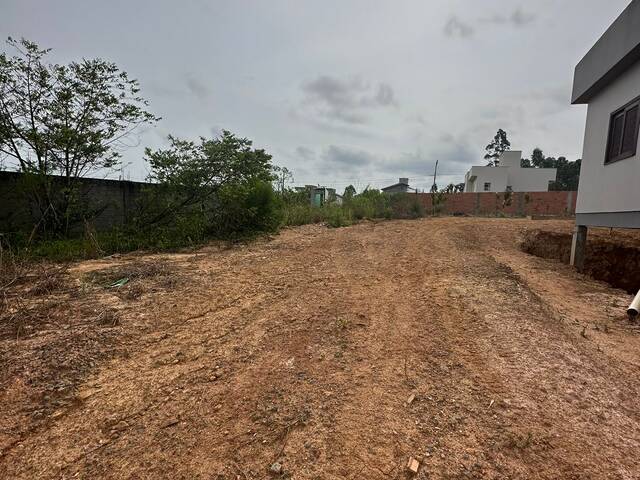Área para Venda em Criciúma - 5