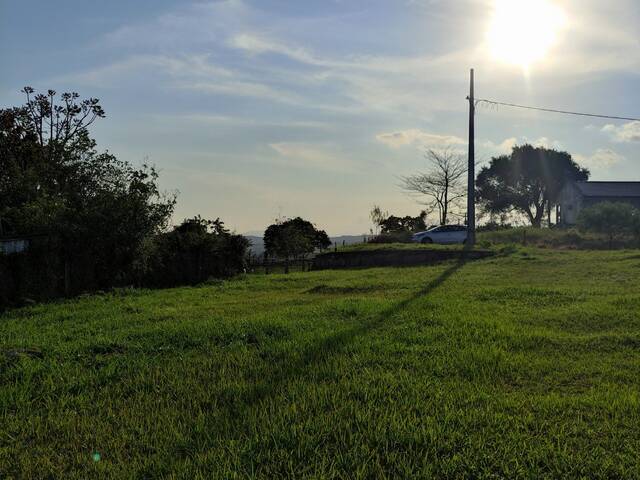 Área para Venda em Criciúma - 5