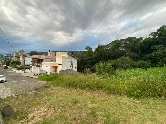 #559 - Área para Venda em Criciúma - SC
